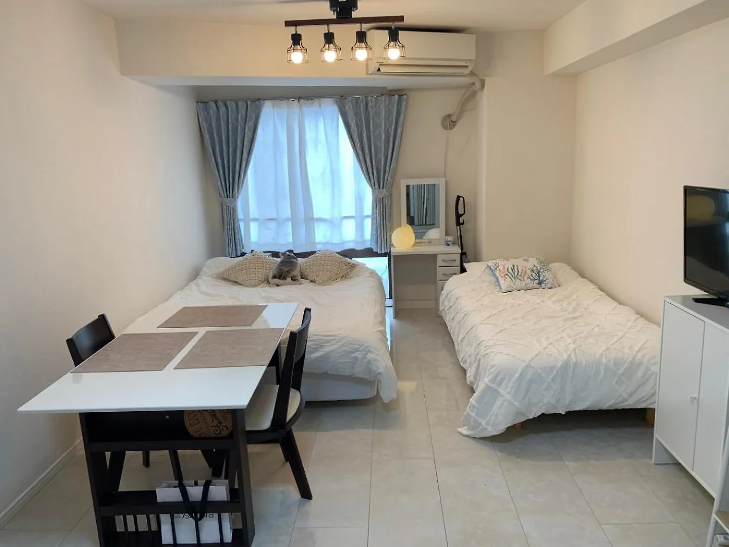803 Near Koiwa Station Walk 1Min Apartment Tokyo
