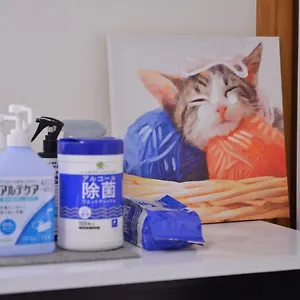 House 101 Tokyo