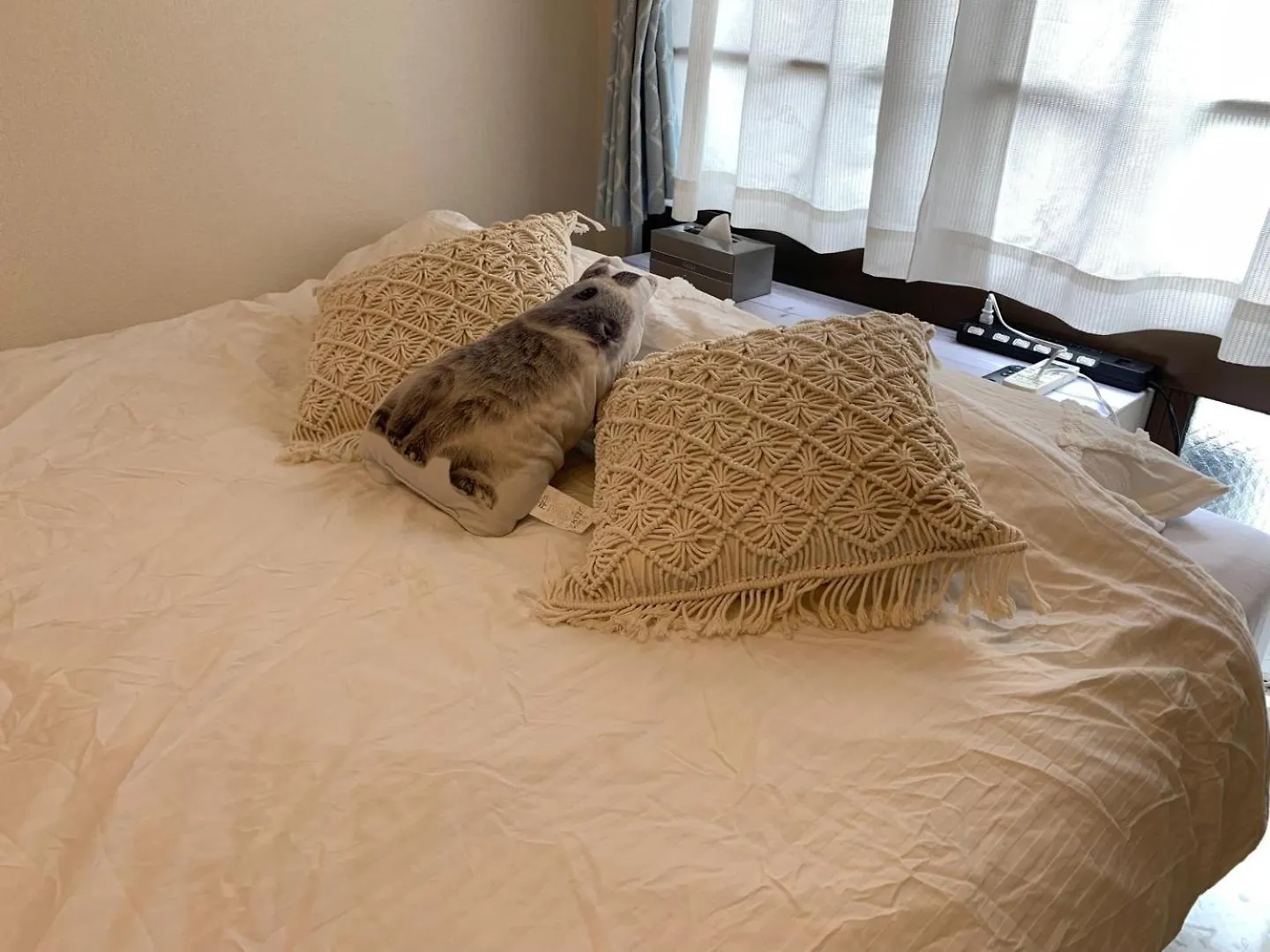 Appartamento 803 Near Koiwa Station Walk 1Min Tokyo Giappone